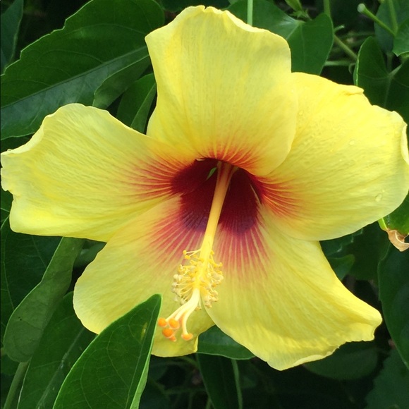 Welcome! Please check out my closet. Thank you๐ - Picture 6 of 10